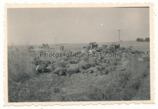 Tote russische Soldaten Ostfront Russland
