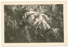 Toter russischer Soldat und Meldehund !