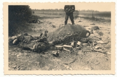 Tote französische Soldaten und Pferde ... Frankreich 1940