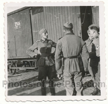 Waffen SS Obersturmführer Division Totenkopf Widmaier in Stralsund