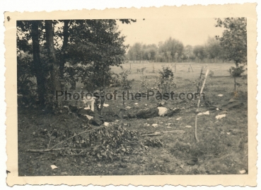 Tote polnische Soldaten Polen 1939