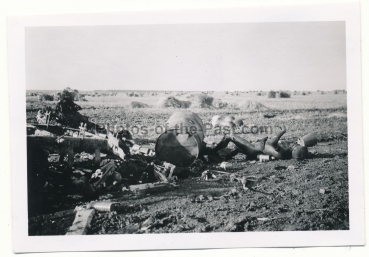 Tote russische Soldaten und LKW Wracks auf dem Uman Schlachtfeld