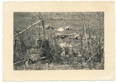 Tote russische Soldaten auf dem Schlachtfeld