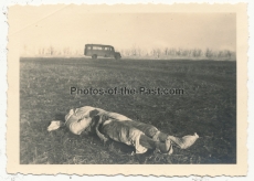 Grauen des Krieges - 10 Fotos toter Soldaten an verschiedenen Fronten Holland Frankreich Russland