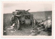 Grauen des Krieges - 10 Fotos toter Soldaten an der Ostfront in Russland