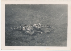 Toter RAF Pilot bei Cherbourg in Frankreich - Flugzeug Abschuss durch Flak Regiment 30