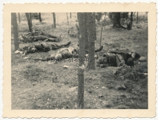 Grauen des Krieges - 10 Fotos - Tote russische Soldaten an der Ostfront Luga ...