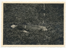 Grauen des Krieges - 10 Fotos - Tote russische Soldaten an der Ostfront ...