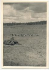 Grauen des Krieges - 10 Fotos - Tote russische Soldaten an der Ostfront ...