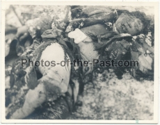 10 Fotos Junkers Ju 52 Flugzeug der Luftwaffe Tote Besatzung an der Absturzstelle bei Falkenau in Tschechien Sudetenland