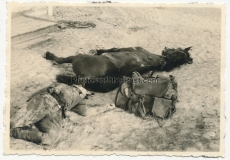 Toter Kosake im Kampfgebiet der 21. Infanterie Division Russland 1941