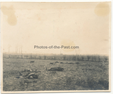 Tote Soldaten in Poelkapelle Flandern Belgien 1915