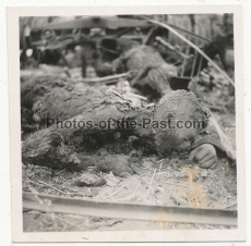 7 Fotos Tote russische Soldaten im Kessel von Kiew 1941