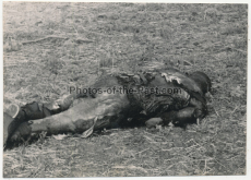 Verbrannter russischer Soldat auf einem Schlachtfeld an der Ostfront 1941