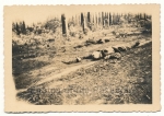 Tote russische Soldaten 1941