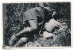 Dead france soldier Rhine Marne canal