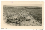 Dead russian soldiers