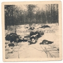 Tote Soldaten im Schnee