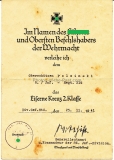 Urkunde Eisernes Kreuz 2. Klasse 9. Infanterie Regiment 216 - 86. Infanterie Division und POW Entlassungsschein Lemgo 1945