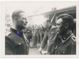 Waffen SS Offiziere der SS Kraftfahr Ersatz Kompanien