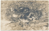 Überreste eines toten Soldaten auf dem Schlachtfeld von Maizeray Frankreich 1915
