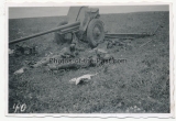 Grauen des Krieges - 10 Fotos toter Soldaten an der Ostfront in Russland