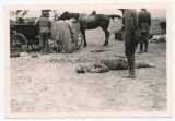 Grauen des Krieges - 10 Fotos toter Soldaten an der Ostfront in Russland