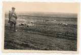 Grauen des Krieges - 10 Fotos - Tote russische Soldaten an der Ostfront ...