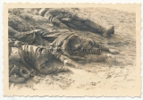 Grauen des Krieges - 10 Fotos - Tote russische Soldaten an der Ostfront ...