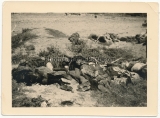 Grauen des Krieges - 10 Fotos - Tote russische Soldaten an der Ostfront ...