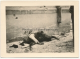 Grauen des Krieges - 10 Fotos - Tote russische Soldaten an der Ostfront ...