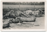 Grauen des Krieges - 10 Fotos - Tote Soldaten an der Westfront Belgien Frankreich