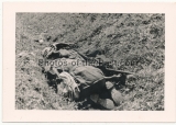 Grauen des Krieges - 10 Fotos - Tote russische Soldaten an der Ostfront ...