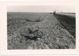 Grauen des Krieges - 10 Fotos - Tote russische Soldaten an der Ostfront ...