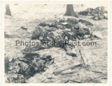 10 Fotos Junkers Ju 52 Flugzeug der Luftwaffe Tote Besatzung an der Absturzstelle bei Falkenau in Tschechien Sudetenland