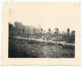 Gräber gefallener Waffen SS Soldaten Regiment Nordland an der Ostfront 1941