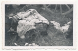 2 Fotos - Tote Marokkaner der französischen Armee im Westen 1940