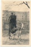 2 Fotos Angehörige der Allgemeinen SS mit Schäferhund in Stettin Pommern