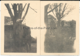 2 Fotos An Bäumen aufgehängte Partisanen und Heckenschützen im Osten