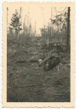 Tote russische Soldaten in einem Wald an der Ostfront
