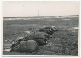 3 Fotos Tote Partisanen an der Ostfront im Frühjahr 1942