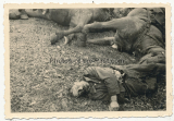 Toter polnischer Soldat und Pferde in Polen 1939
