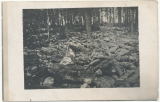 Tote russische Soldaten in einem Wald an der Ostfront 1916