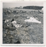 9 Fotos Alliiertes Bomber Flugzeug Wrack und tote Besatzung auf einem Feld in Deutschland