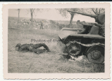 Verbrannter russischer Soldat vor einem BT-7 Panzer an der Ostfront 1941