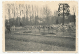 Gräber der Waffen SS auf einem Heldenfriedhof