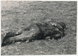 Verbrannter russischer Soldat auf einem Schlachtfeld an der Ostfront 1941