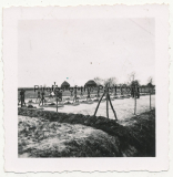 Gräber der Waffen SS im Osten